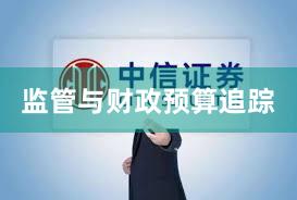 监管与财政预算追踪